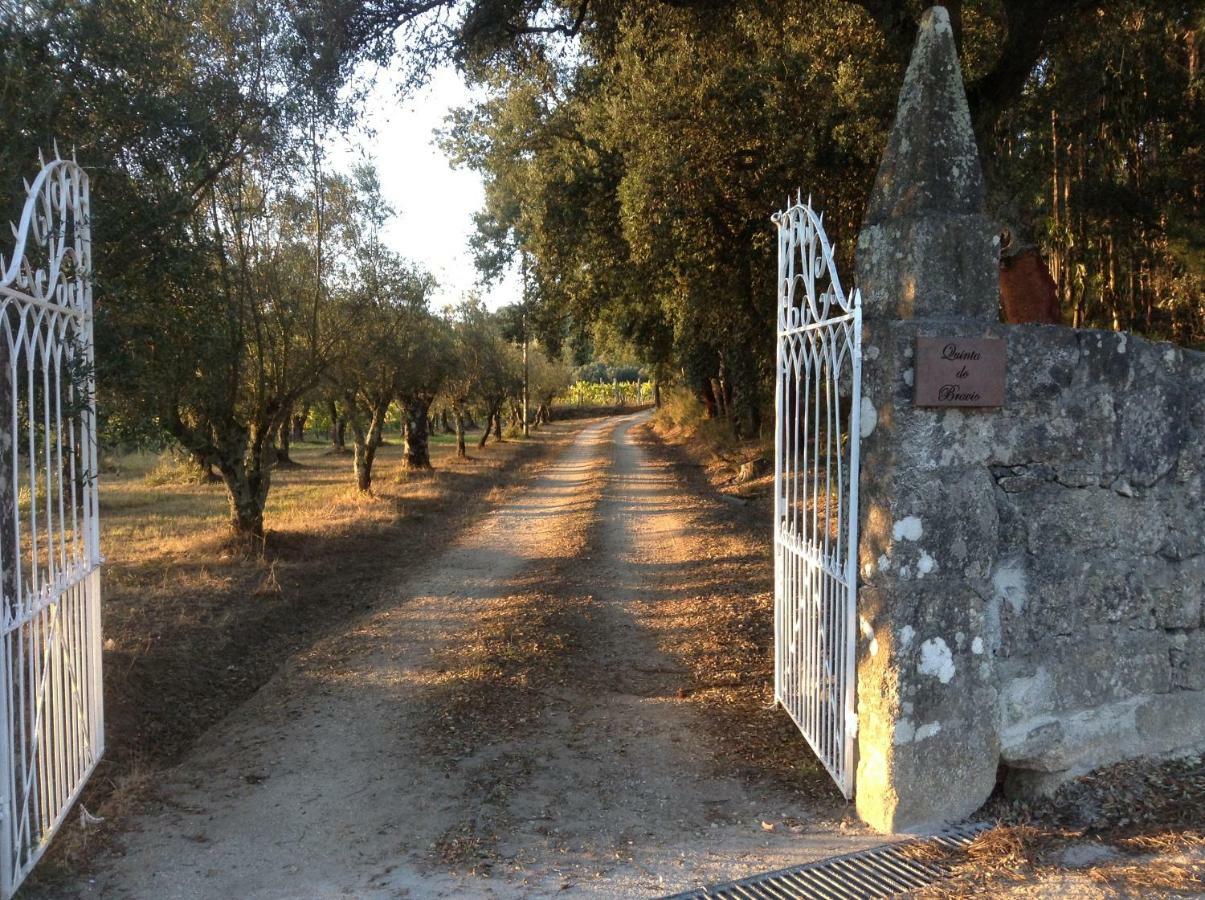 Quinta Do Bravio Villa Barroselas Exterior photo